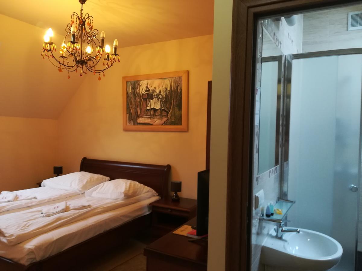 Hotel Victoria Cechini à Krynica-Zdrój Extérieur photo