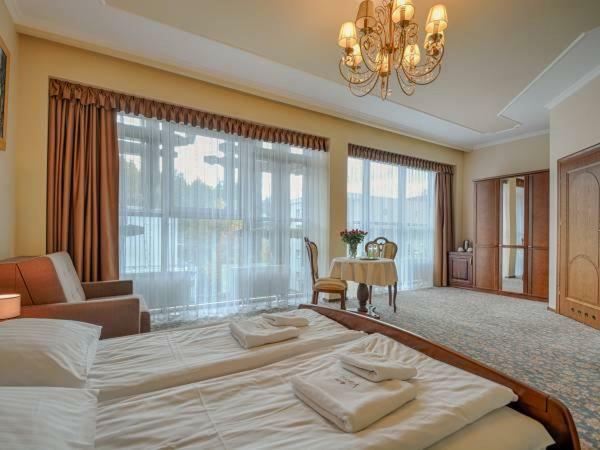 Hotel Victoria Cechini à Krynica-Zdrój Extérieur photo